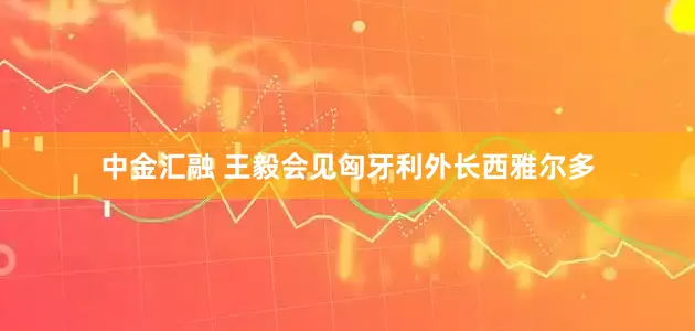 中金汇融 王毅会见匈牙利外长西雅尔多